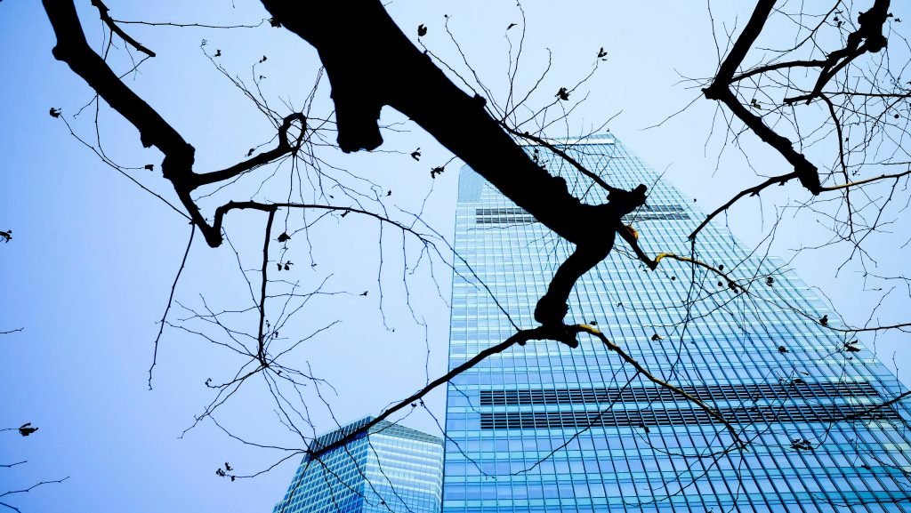 Enterprise Digital Ethics: Building Trust in the Age of AI and Automation
