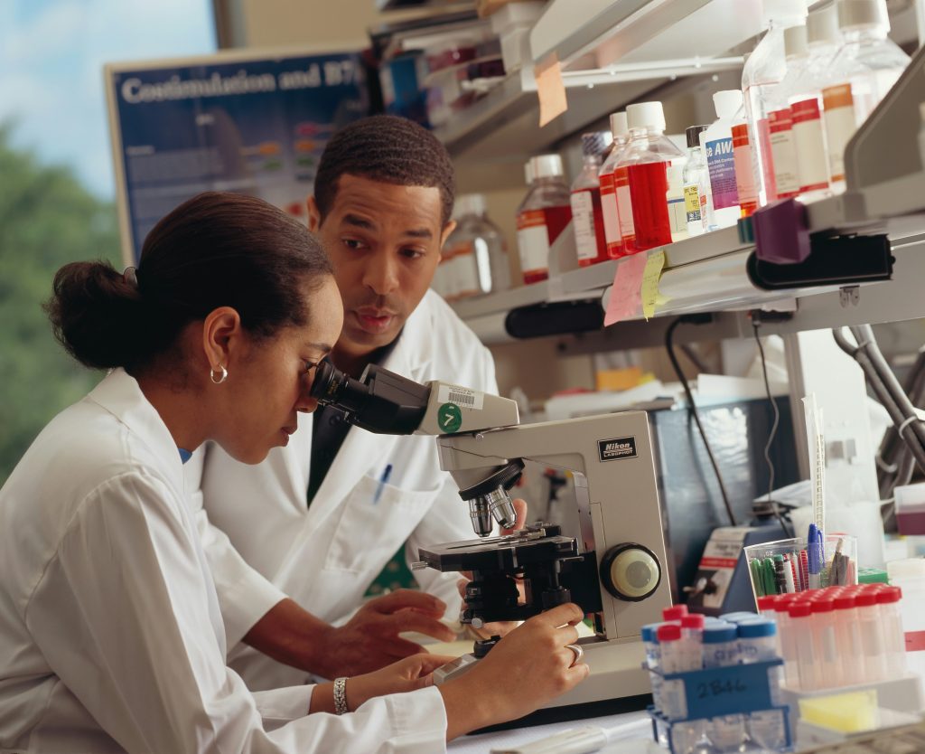 AI-Powered Drug Discovery: Accelerating Medical Breakthroughs